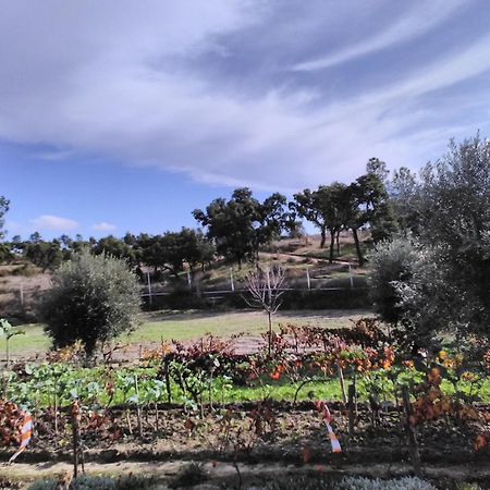 ホテル Monte Familia Ferreira Vale de Acor エクステリア 写真
